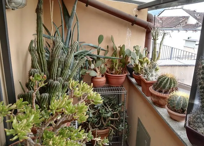 A Casa Di Gio Bed and Breakfast Torino